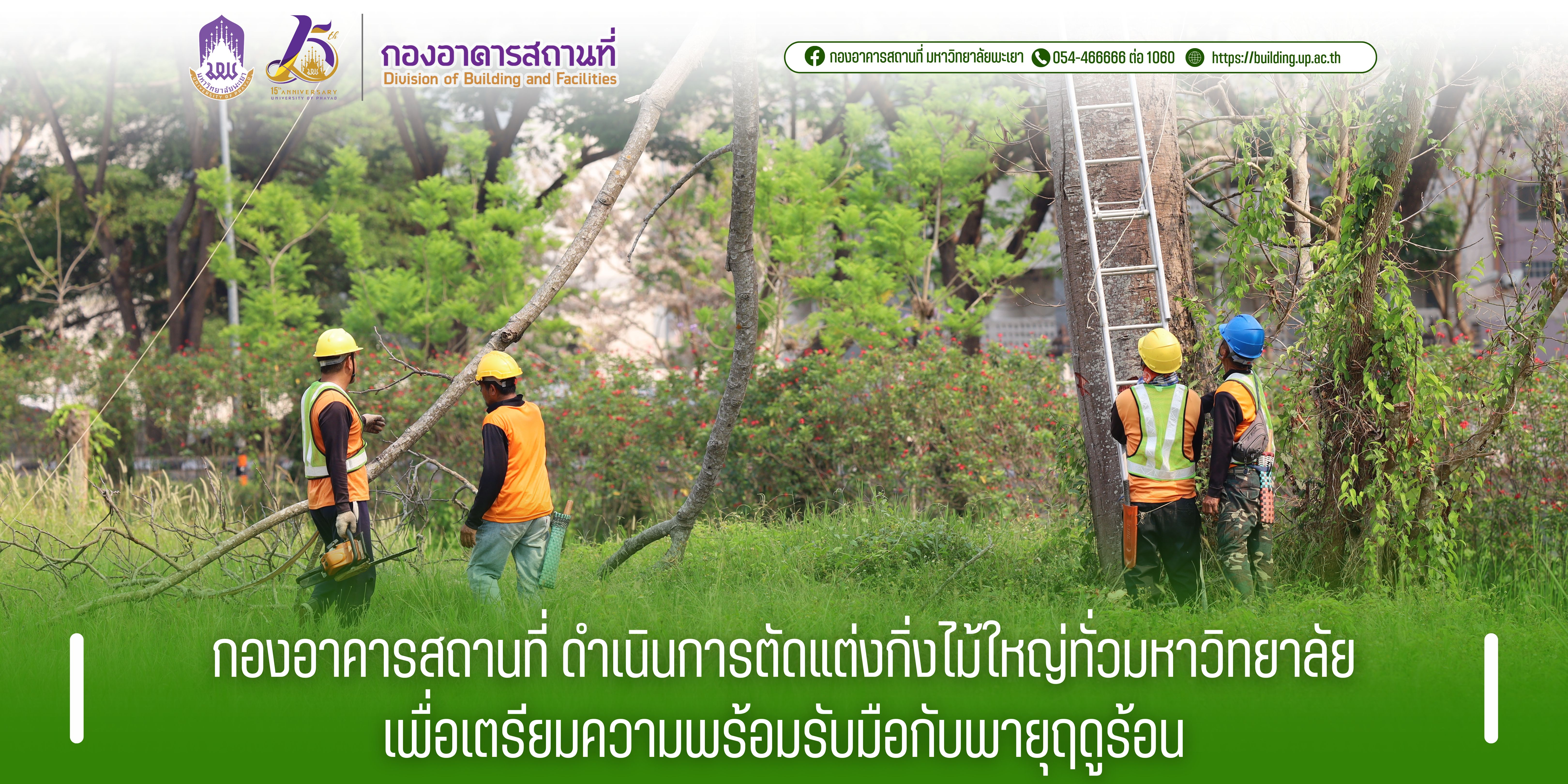 กองอาคารสถานที่ ดำเนินการตัดแต่งกิ่งไม้ใหญ่ทั่วมหาวิทยาลัยเพื่อเตรียมความพร้อมรับมือกับพายุฤดูร้อน