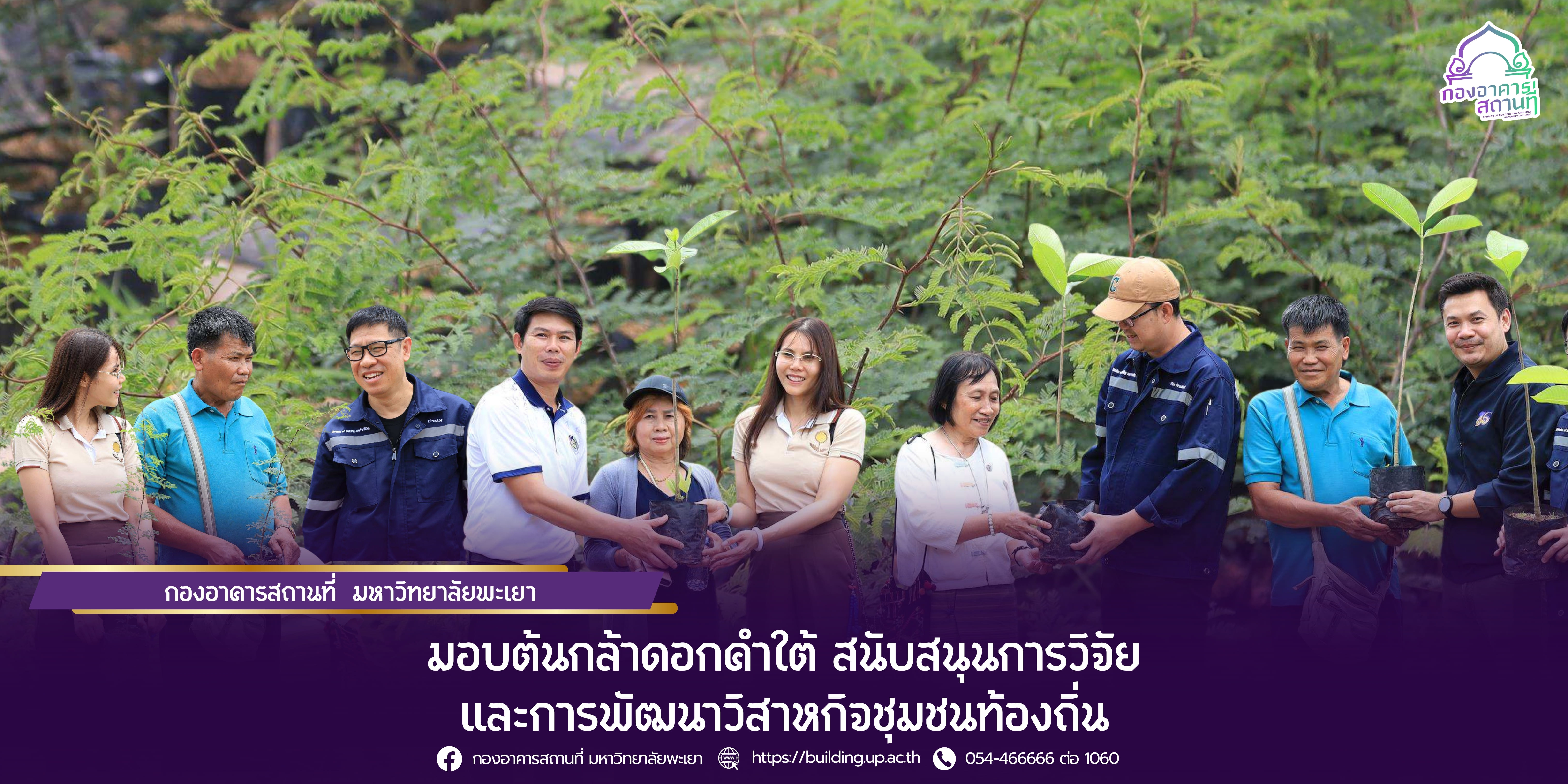 กองอาคารสถานที่ ม.พะเยา มอบต้นกล้าดอกคำใต้ สนับสนุนการวิจัยและการพัฒนาวิสาหกิจชุมชนท้องถิ่น
