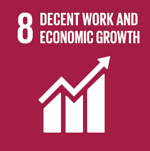 SDG Icon